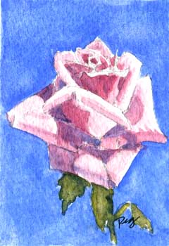 "Pink Rose" by Peg Ginsberg, Blue Mounds WI - Watercolor